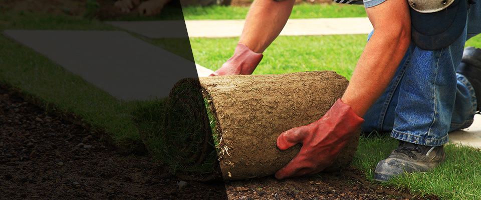 Nashville Landscapers